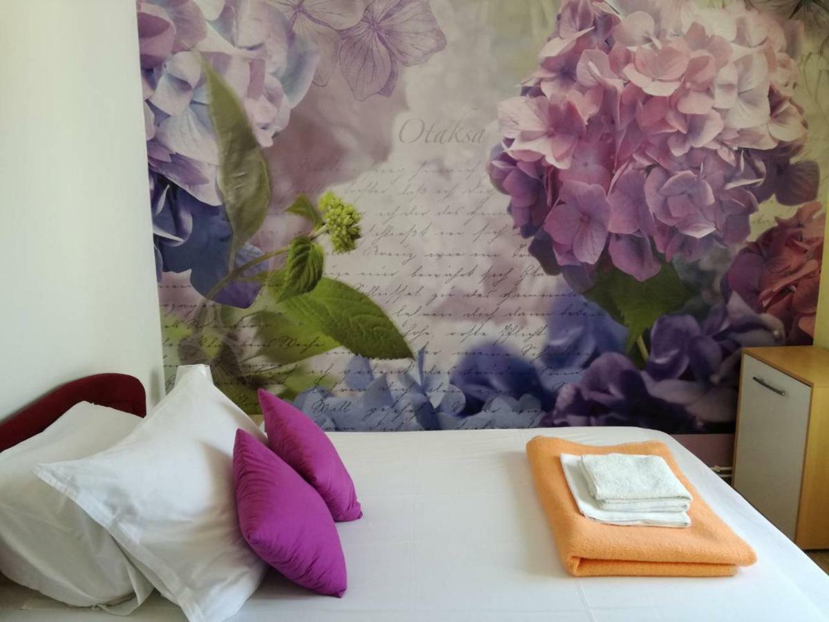 Apartment Yelena Rose West Zadar Exterior foto